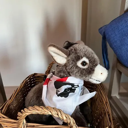 Hébergement de vacances Erilia